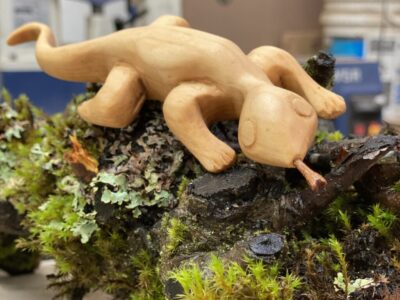 Whittling Basics – Winter 2025